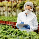 Agriculteur examinant la sécurité