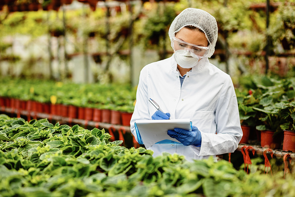 Agriculteur examinant la sécurité